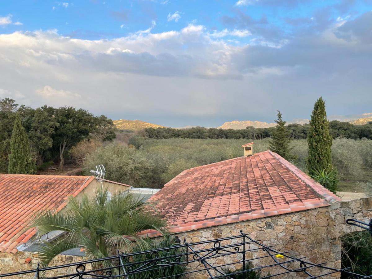 Domaine Du Reginu Hotel Santa-Reparata-di-Balagna Bagian luar foto