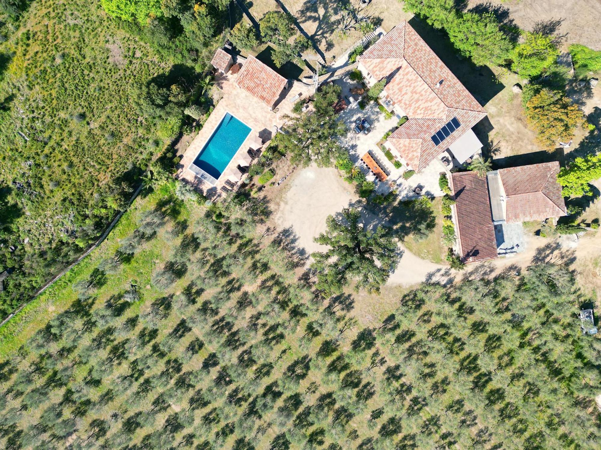 Domaine Du Reginu Hotel Santa-Reparata-di-Balagna Bagian luar foto